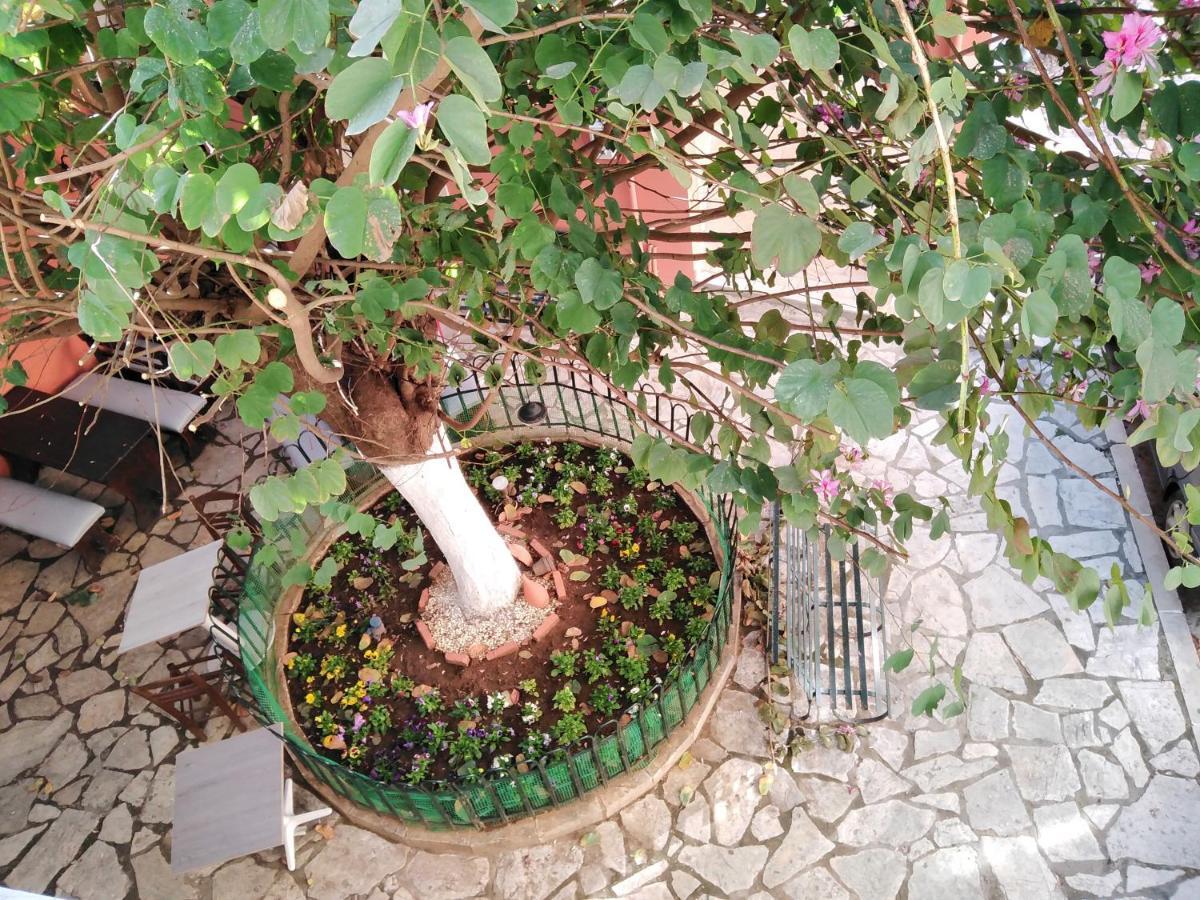 Lilliput Studio Corfu Old Town 外观 照片